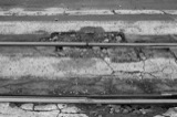 Tracks